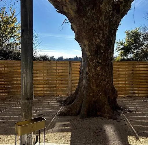 Superbe Dans Un Mas * Nimes